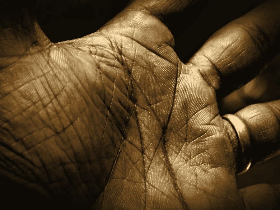 Lines of an open palm, read in palmistry